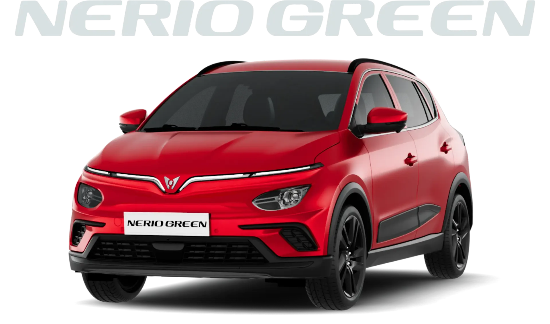 Nerio Green